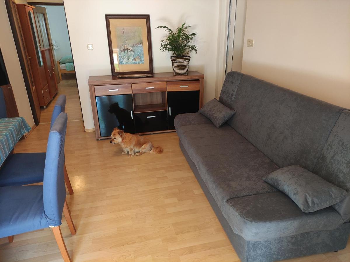 Apartment Valenta ポレッチ エクステリア 写真
